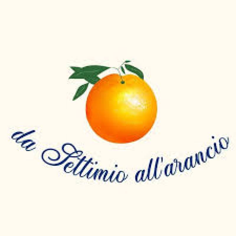 Da Settimio all'arancio Logo